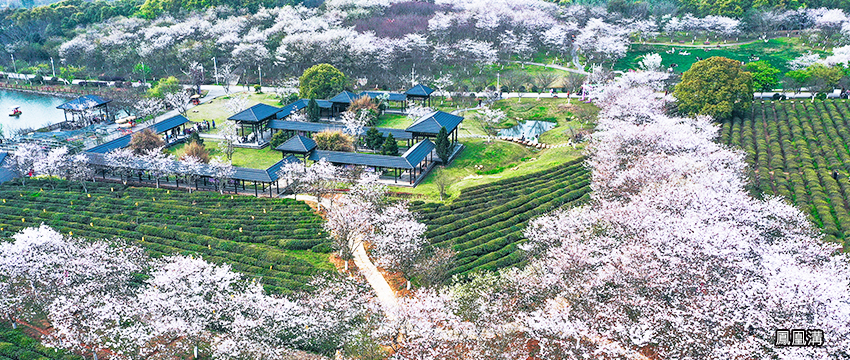 鳳凰溝